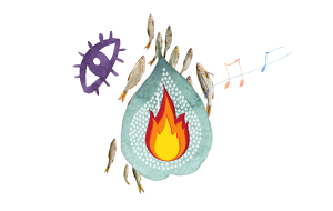 An abstract, absurd collection of images arranged to look like a water-drop. They include a green leaf overlapped by a water droplet which is overlapped by a flame. Behind these are a school of silver fish. An illustration of a purple eye floats at the top left, and music notes appear to be emerging from the centre.